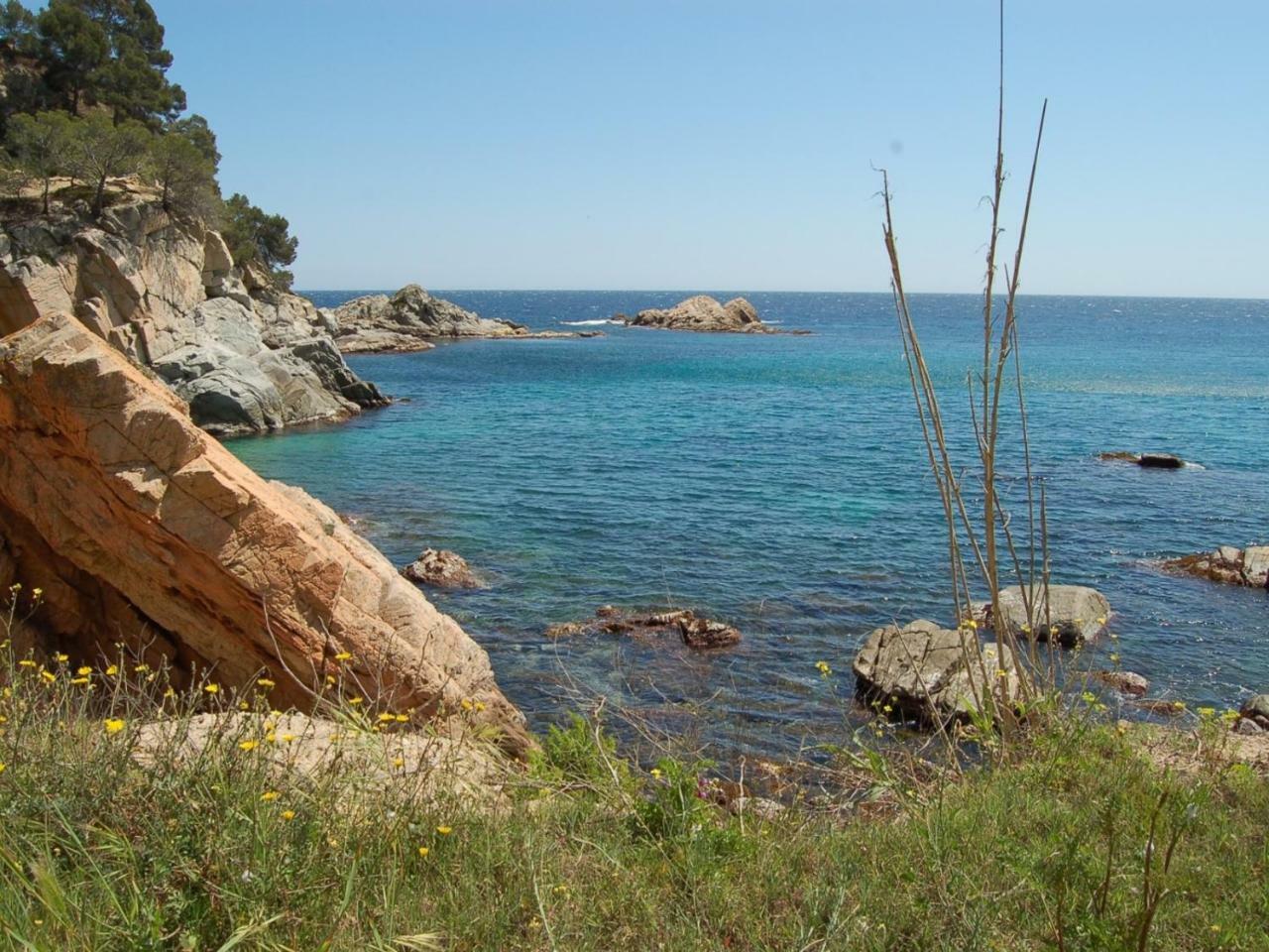 Studios Face A La Mer - Cala Llevado Tossa de Mar Exteriér fotografie